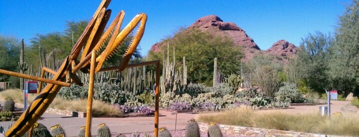 Desert Botanical Garden is one of Must Do Phoenix, AZ #VisitUS.