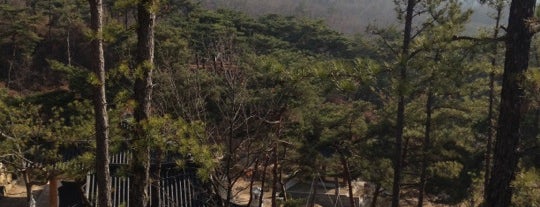 회암사 (檜巖寺) is one of Buddhist temples in Gyeonggi.