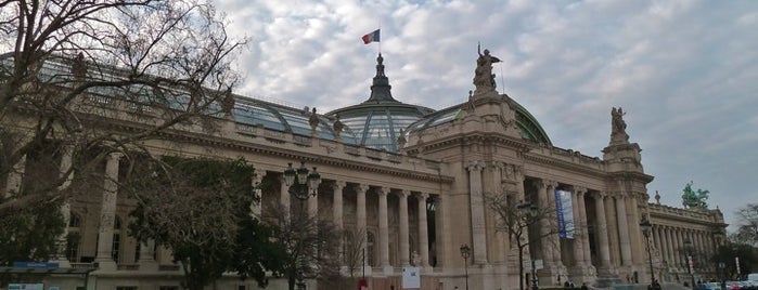 Grand Palais is one of une semaine à Paris.