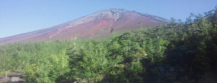 Mt. Fuji is one of Best of World Edition part 3.