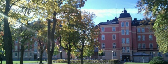Polacksbacken is one of Neighborhoods of Uppsala.