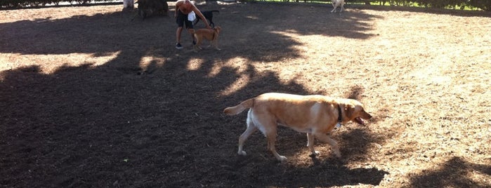 Dog Park is one of Westside Dog Friendly Places.