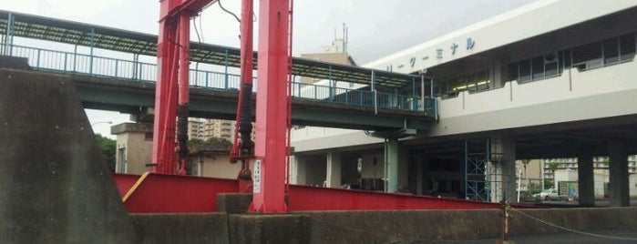 鴨池港フェリーターミナル is one of Lugares favoritos de Minami.