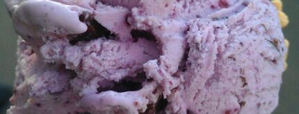 Molly Moon's Homemade Ice Cream is one of HA DisruptSeattle.
