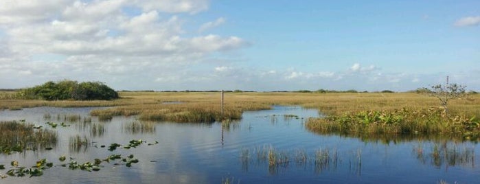 Parco nazionale delle Everglades is one of National Parks.