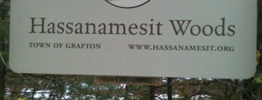 Hassanamesit Woods is one of Rob : понравившиеся места.