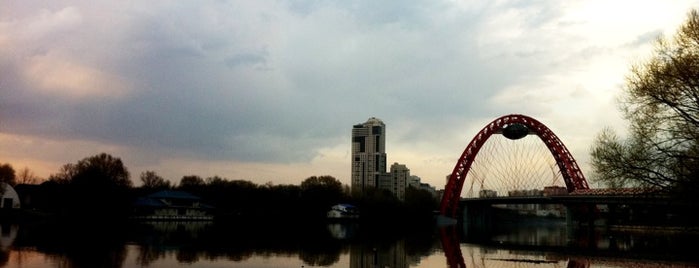 Ponte Zhivopisny is one of Bridges in Moscow.