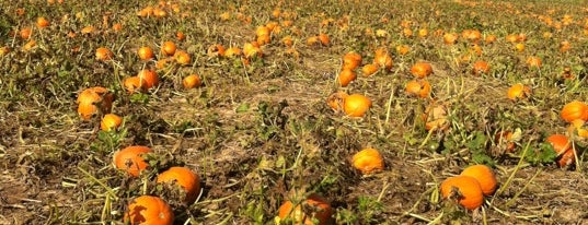 Goebbert's Pumpkin Patch is one of Justin’s Liked Places.