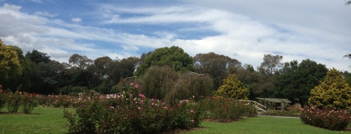Victoria Esplanade Gardens is one of Best Manawatu Family Spots.