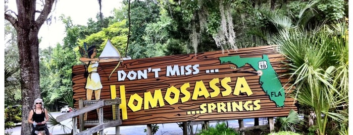 Homosassa Springs Wildlife State Park is one of Panoramic Florida.