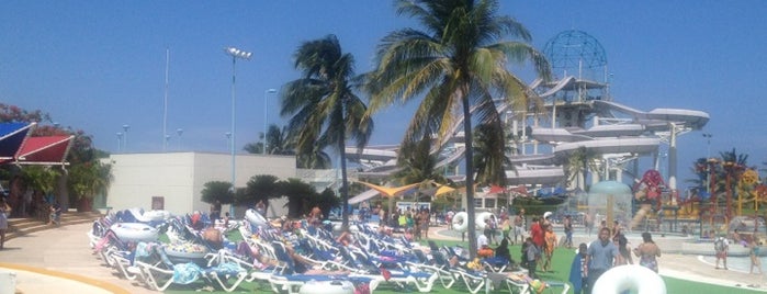 Wet 'n Wild is one of México (Riviera Maya).