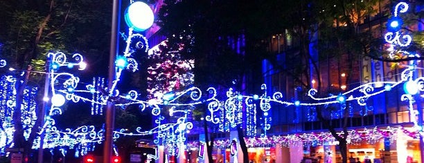 Orchard Road is one of Singapore List.