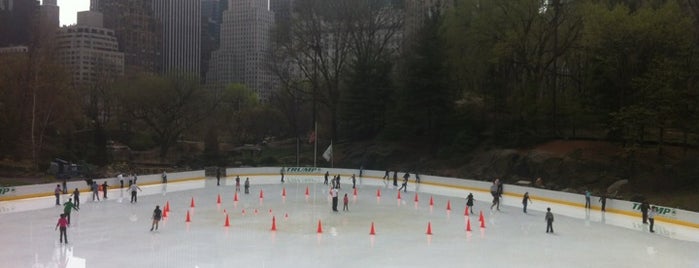 Wollman Rink is one of NYC with children.