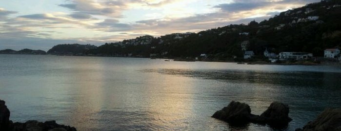 Scorching Bay is one of The coolest little capital in the world.