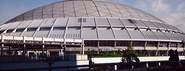 Vantelin Dome Nagoya is one of プロ野球スタジアム.