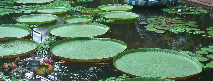 Royal Botanic Garden is one of {Edinburgh weekend).