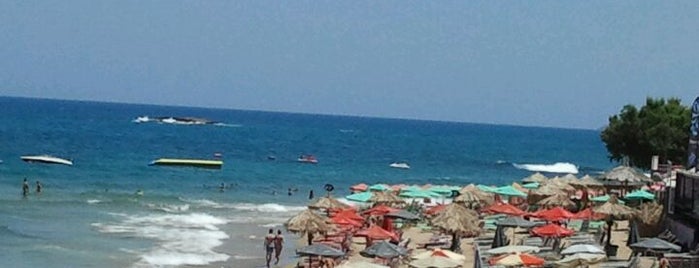 Bikini Beach is one of Locais curtidos por Galina.