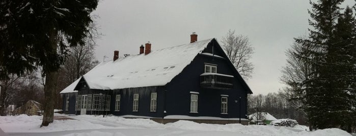 Avinurme Elulaadikeskus is one of Muuseumid/Museums.