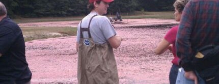 The Nature Trail and Cranberry Bog is one of Lieux qui ont plu à Brian.