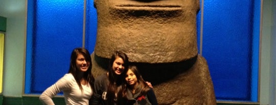 Museo Americano de Historia Natural is one of #nyc12.