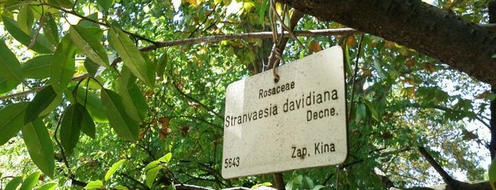 Botanički vrt is one of Guide to Croatia's Best Spots.