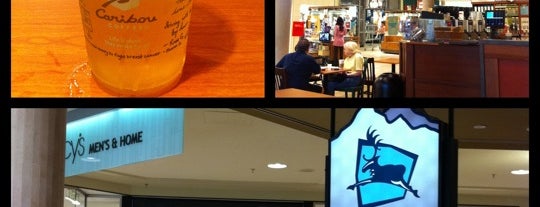 Caribou Coffee is one of สถานที่ที่ Elizabeth ถูกใจ.