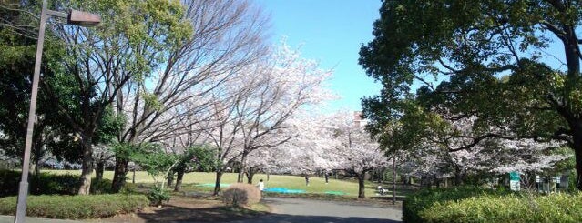 오오이후토공원츄오카이힌공원 is one of 東京都立の公園・庭園.