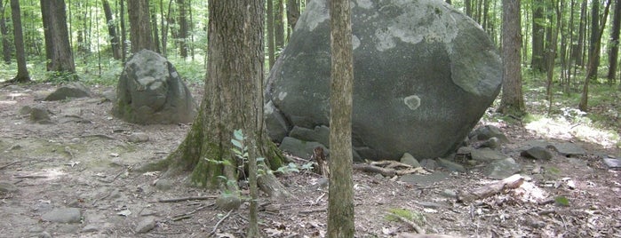 Whale Rock in North Woods is one of Sustainable Skidmore.