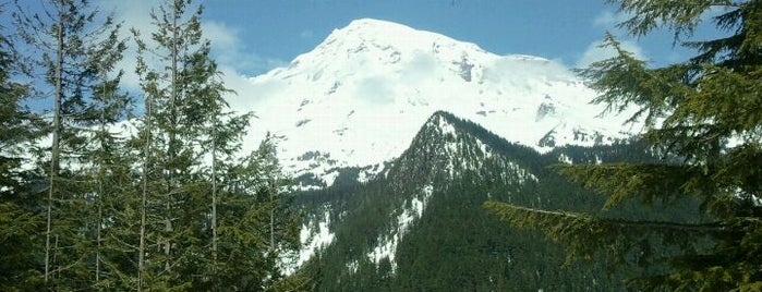 Mount Rainier National Park is one of U.S. National Parks.