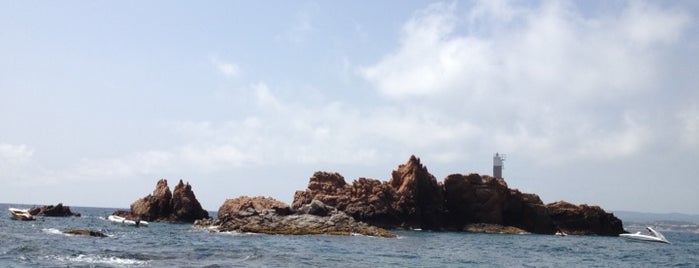 Illes Formigues is one of Locais curtidos por Princesa.
