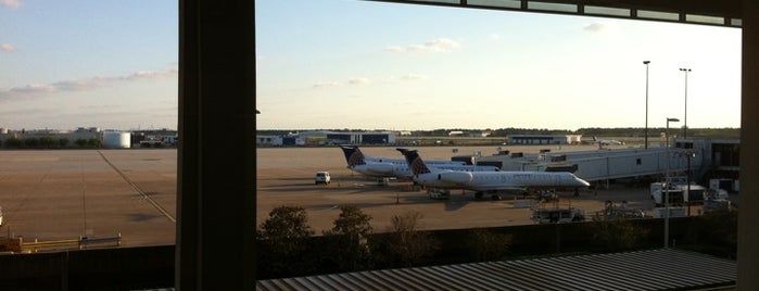 United Club is one of Airport Lounges.