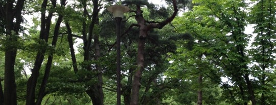 The Fourth High School Memorial Park is one of まちのりポート一覧.