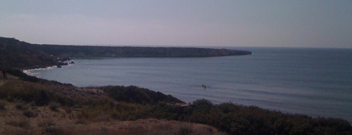 Lara Beach is one of Cyprus.