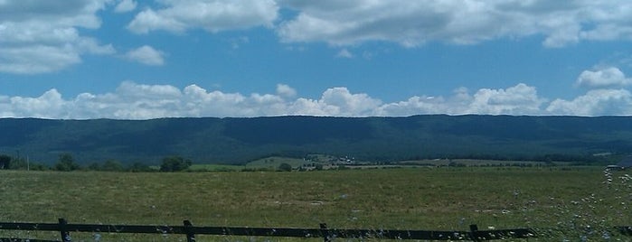 Shenandoah Valley is one of Cynthia's Saved Places.