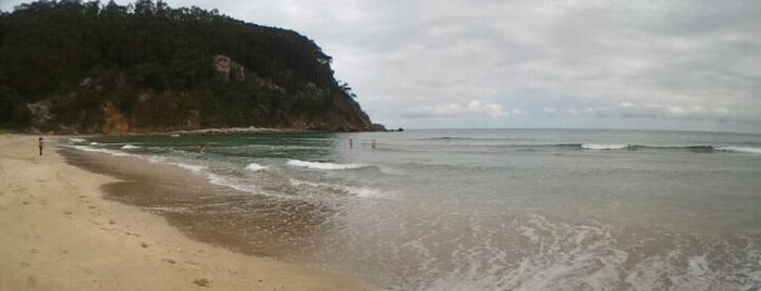 Playa de San Pedro de La Ribera is one of Playas del Principado de Asturias.