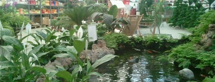 Garden Centar is one of Tempat yang Disukai Marija.