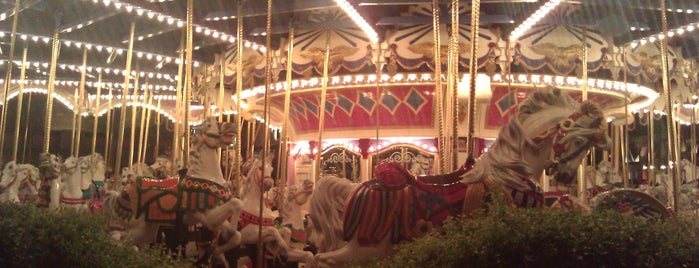 Prince Charming Regal Carousel is one of Drew's Magic Kingdom Musts.