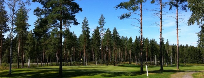 PuulaGolf is one of Golf Courses in Finland.