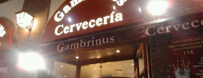 Gambrinus is one of Tempat yang Disukai Francisco.