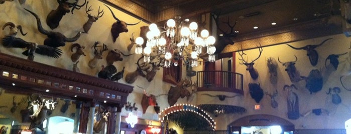Buckhorn Saloon and Museum is one of StorefrontSticker #4sqCities: San Antonio.