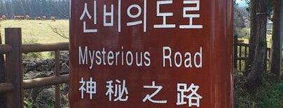 Mysterious Road is one of [한국] 제주도.
