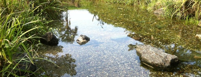 江川湧水源 is one of 気になる場所(*^^).