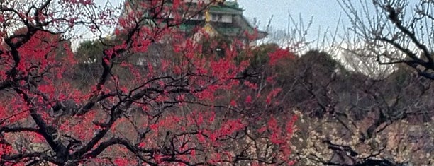 Osaka Castle Plum Orchard is one of 🔰 OSAKA.