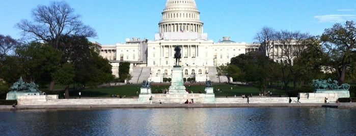 United States Capitol is one of NBC Politic Badge.