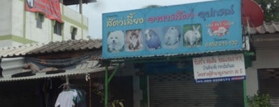 ร้านนางฟ้า Pet shop is one of Bangkok Chill Places.