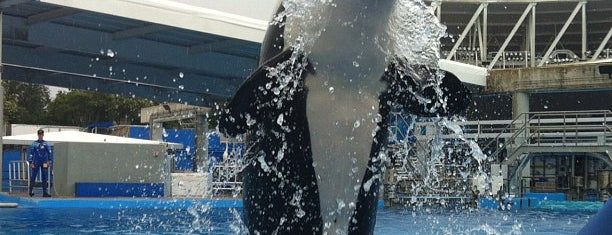 SeaWorld Orlando is one of Atrações Orlando.