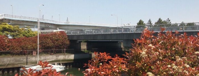 中浜橋 is one of 渡った橋（東日本）.