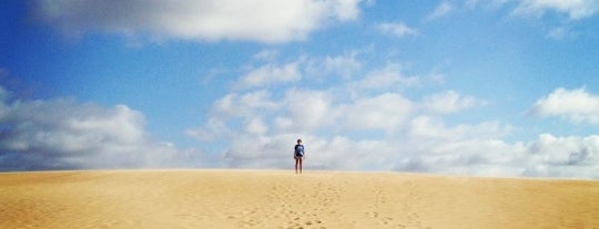 Jockey's Ridge State Park is one of Jamesさんのお気に入りスポット.