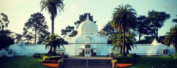 Golden Gate Park is one of 41 cosas que no puedes perderte en San Francisco.