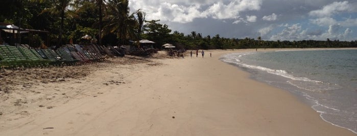 Ponta de Santo André is one of สถานที่ที่ Helem ถูกใจ.